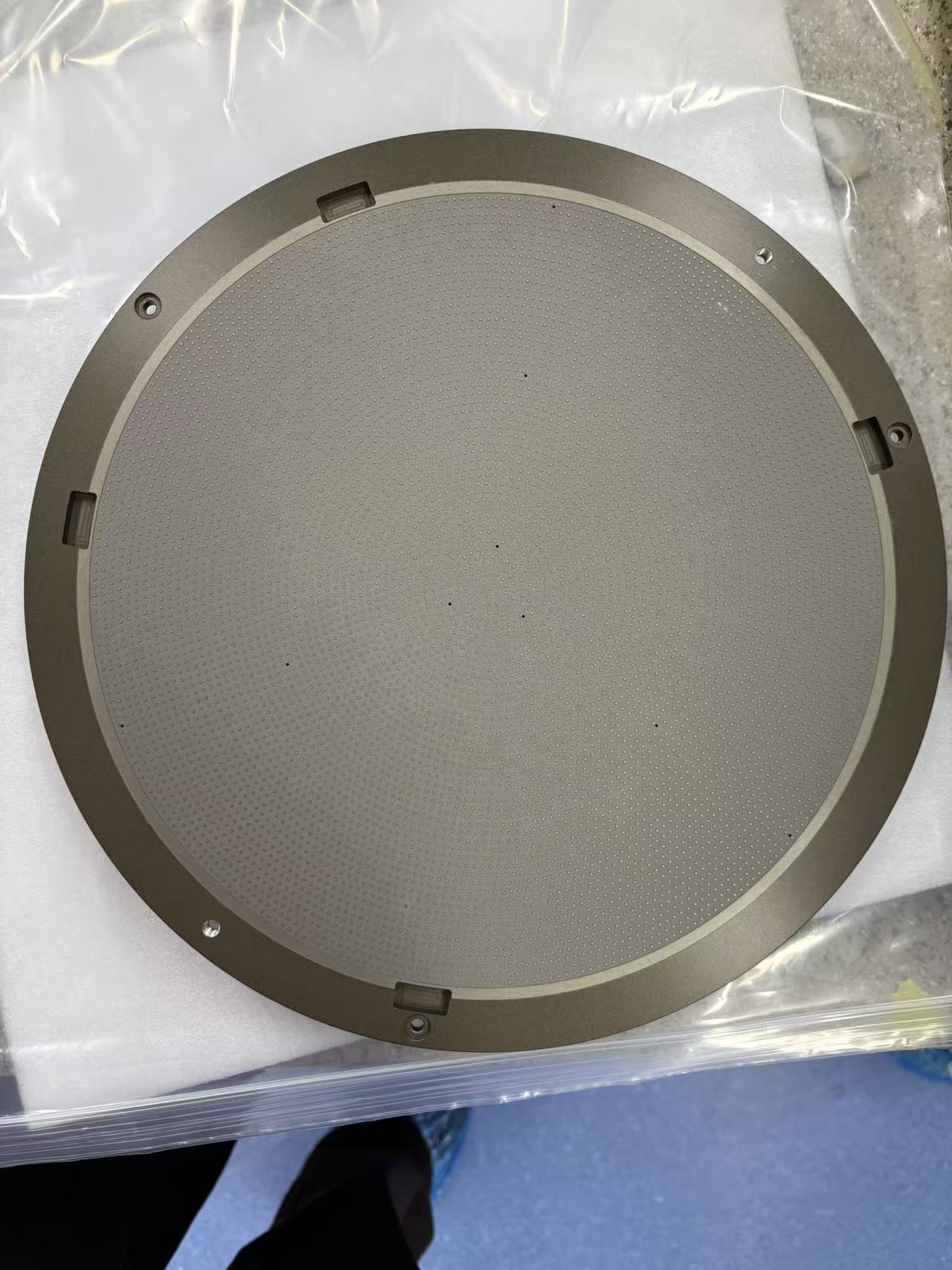 SiC Pin Chuck SiSiC SiSiC Pin Chuck